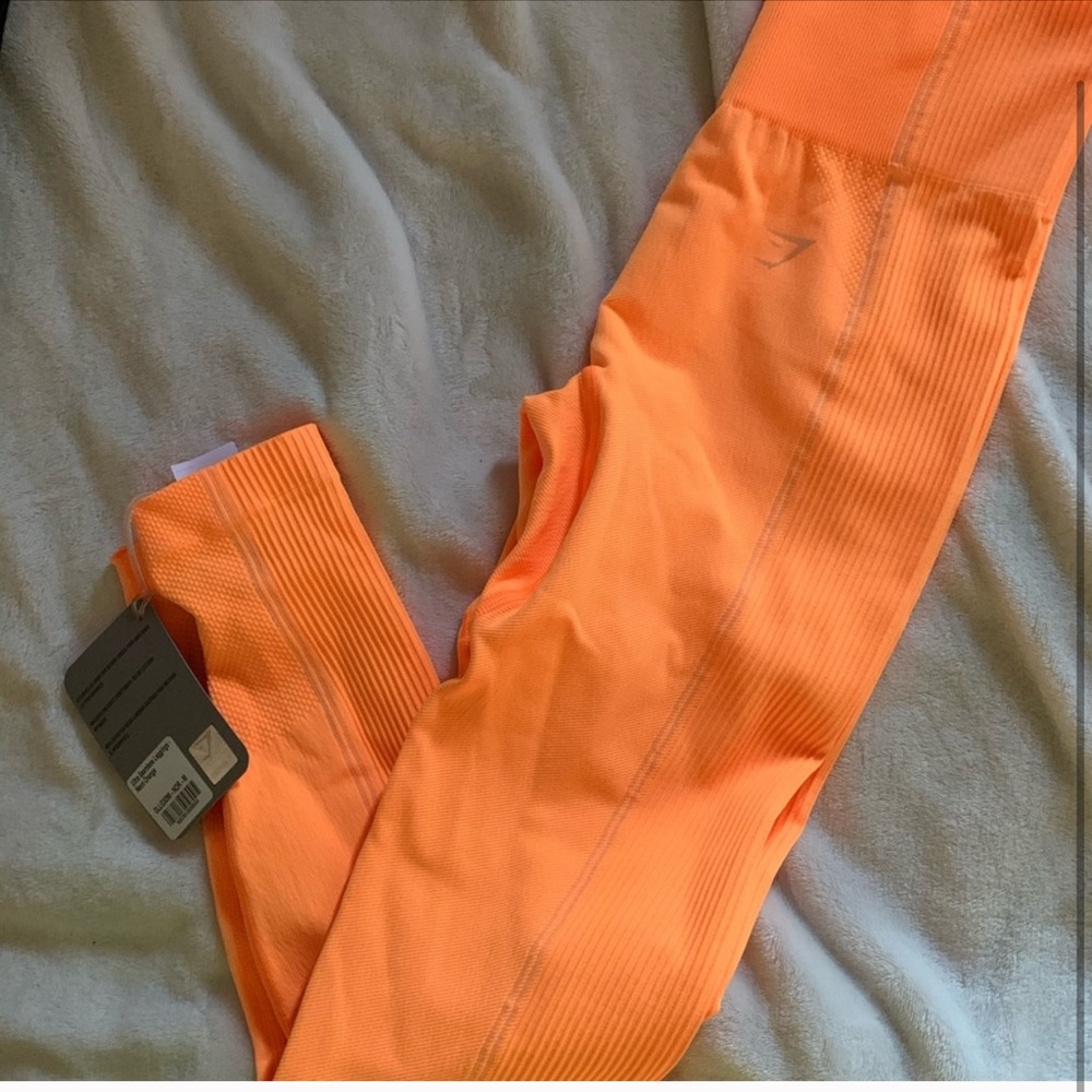 Gym shark leggings